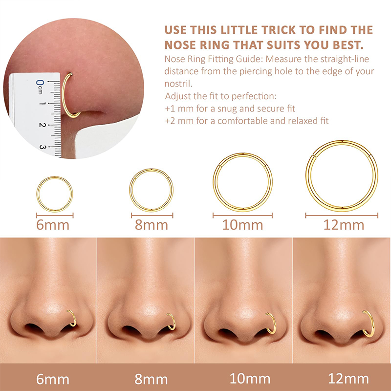 16G 316L サージカルスチール製ヒンジ付きクリッカーノ - Body Jewelry Nose Ring のレビューと価格