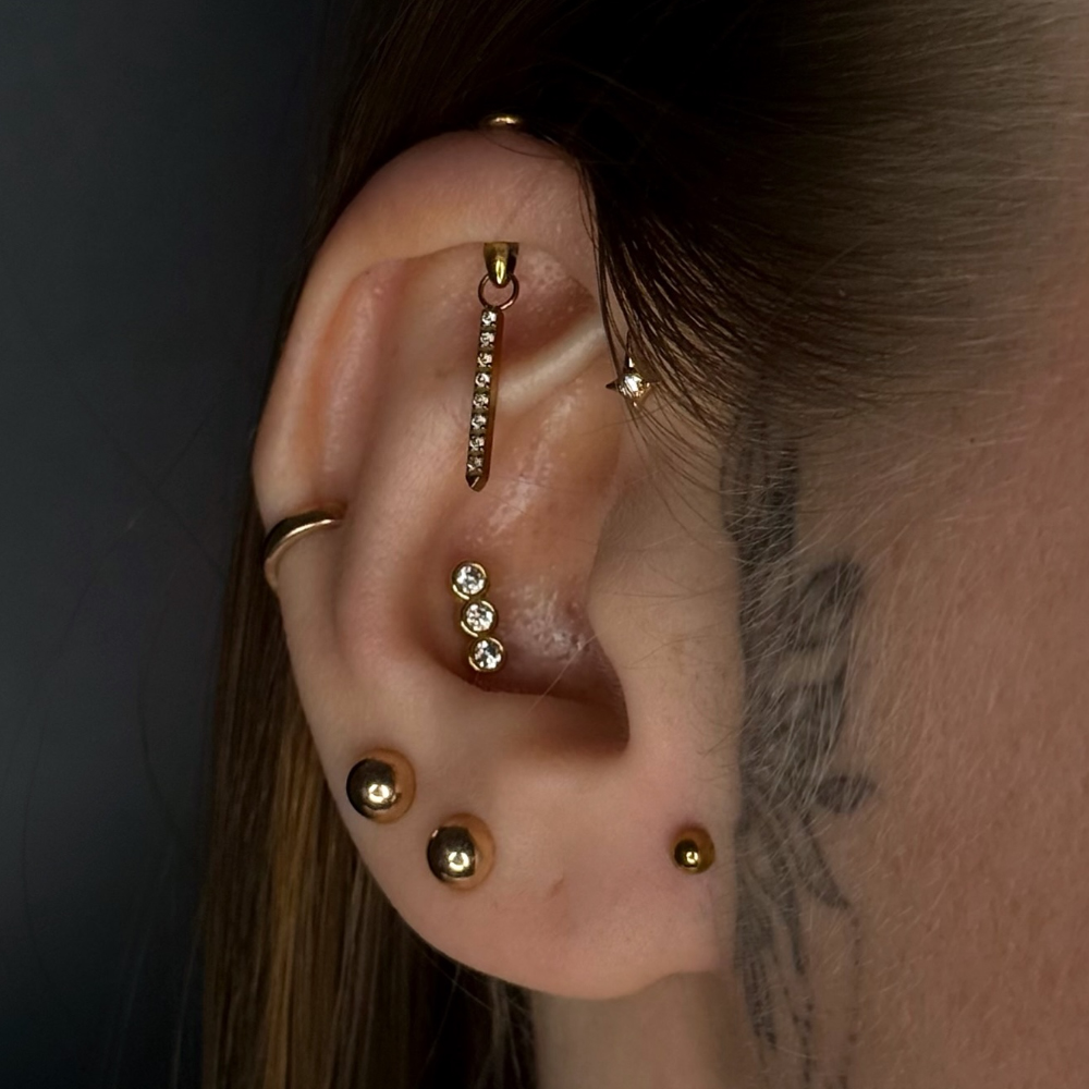 1PC G23 チタン製隠し型垂直スターチャーム＆ドロップレ - Body Jewelry Vertical Labret のレビューと価格