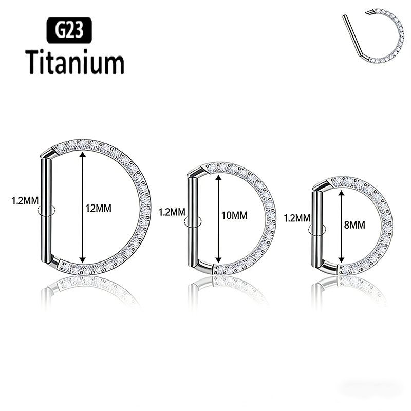 G23チタン製ヒンジ付きセグメントノーズリング、D型サイドク - Rook Curved Barbell のレビューと価格
