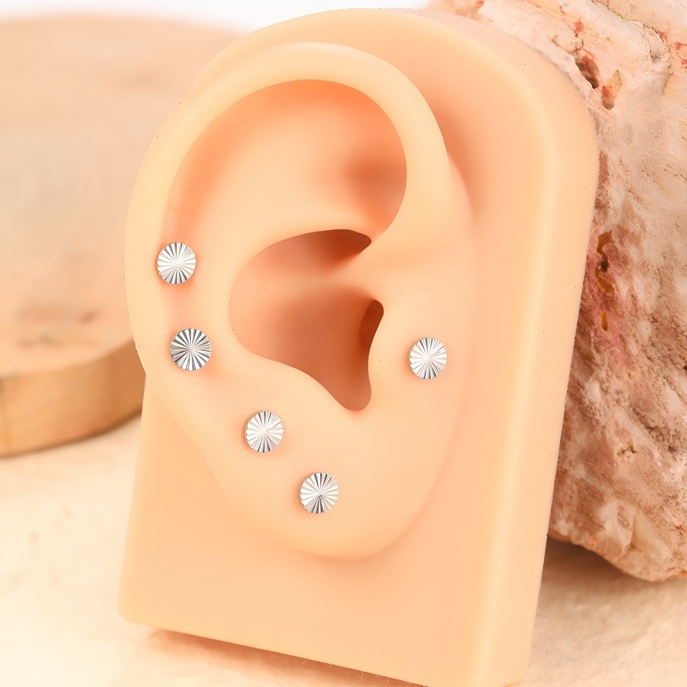 ASTM F136 G23 チタンミニサークルスタッドピアス - Body Jewelry Jewelry Box のレビューと価格